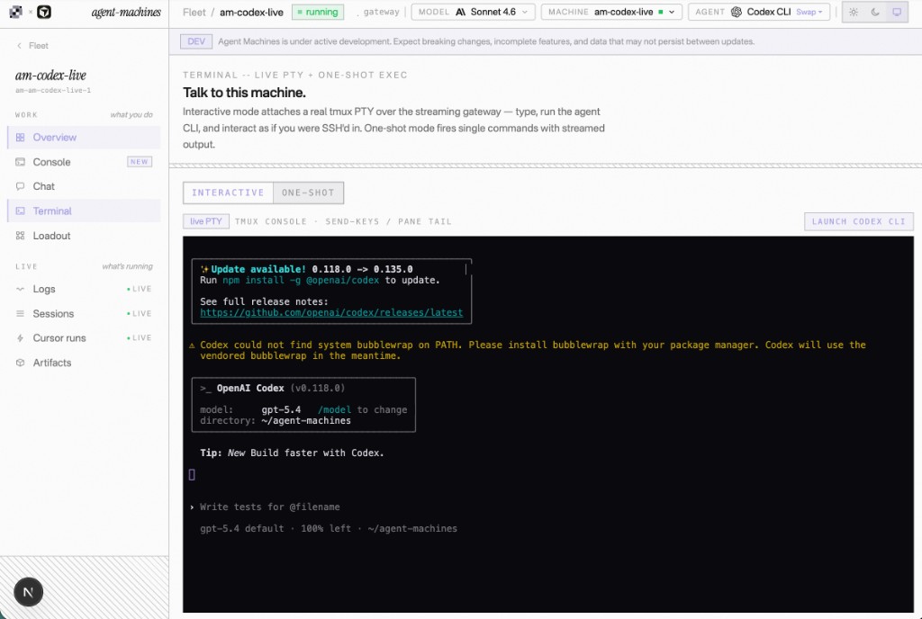 Codex CLI running in the Agent Machines browser terminal
