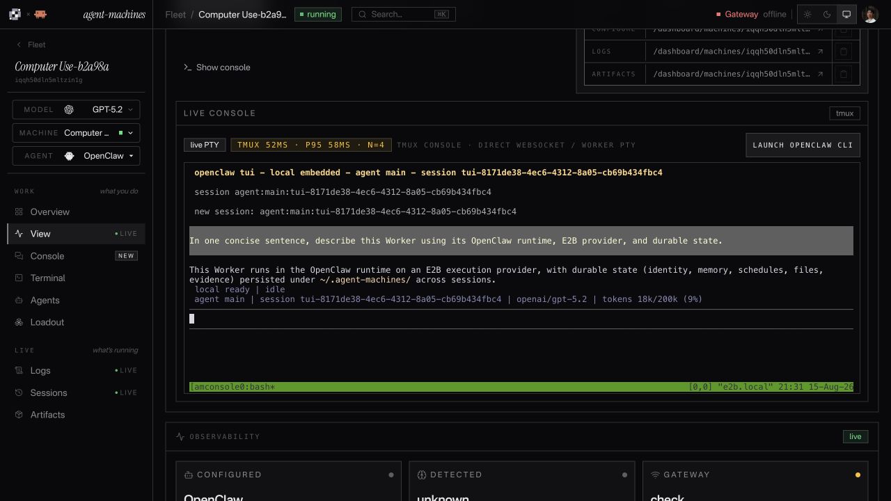 OpenClaw answering a question about its runtime and persistent state inside an E2B Worker